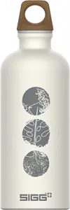 Sigg Traveller MyPlanet Aluminium Special Design (0,6L) Drinkfles