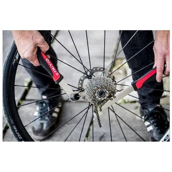 Trivio Cassette afnemer Campagnolo