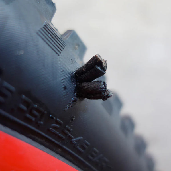 Dynaplug Racer Pro red